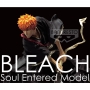 Bleach Soul Entered Model ICHIGO KUROSAKI II